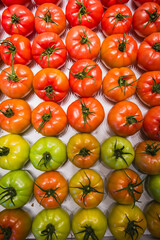 organic red tomatoes on the exhibition stand view 