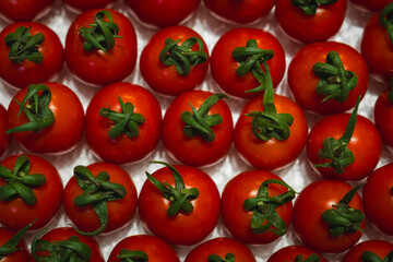 organic red tomatoes on the exhibition stand view 