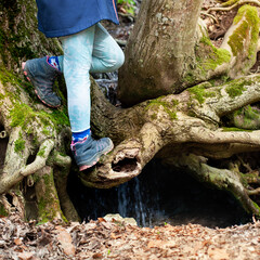 Wasser im Wald. Bach fließt unter Baum hindurch. Kind klettert im Wald. Wasserquelle.