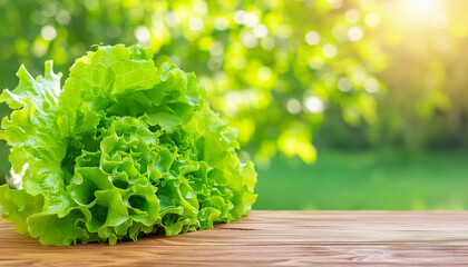 Fresh lettuce leaves on wooden table. Natural and tasty vegetable. Organic garden food.