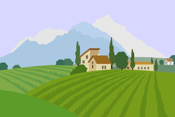 Field of vineyards with mountains. Rural landscape with farm, houses and fields. Vector illustration.