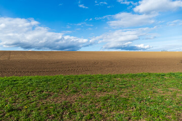 Spring field with green grass, brown collected dirt and blue sky with clouds.