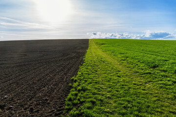 Spring field with green grass, brown collected dirt and blue sky with clouds.
