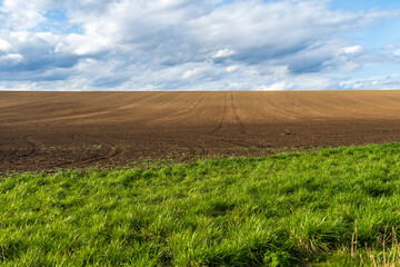 Spring field with green grass, brown collected dirt and blue sky with clouds.