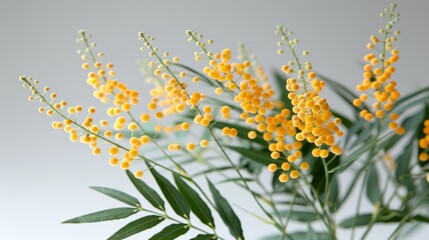   A vase holds yellow flowers atop a green plant, adorned with numerous small yellow blooms