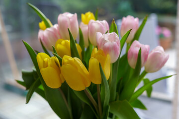 Bouquet of pink and yellow tulips on the windowsill