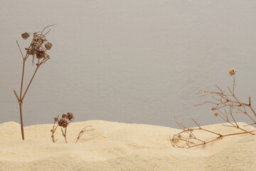 Dry twig branch  on beige sand platform podium background. Minimal empty display product...