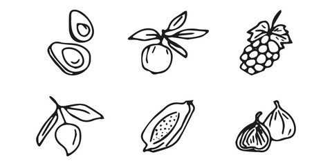 Hand drawn exotic fruit doodles. Cute tropical food sketch, summer fresh organic ingredients vector illustration