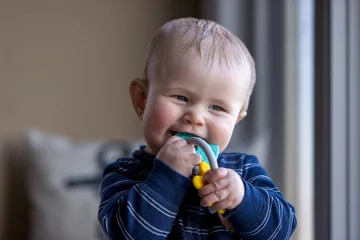 Fotobehang Smiling six month old child with a toy in his mouth. © Daniel Teetor