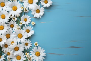 white daisy chamomile flowers frame on blue wooden background top view, beautiful floral template with copy space