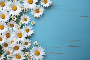 Obraz premium white daisy chamomile flowers frame on blue wooden background top view, beautiful floral template with copy space