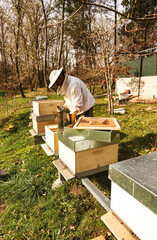 Caring for the hives