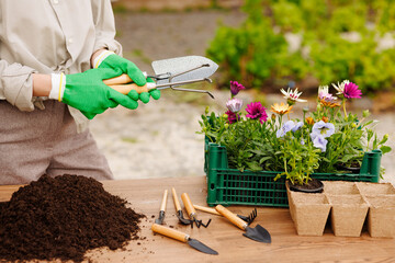 gardener's hand holding a set of gardening tools, gardening concept.