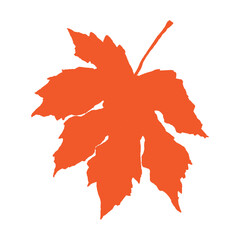 Maple orange leaf vector illustration on white