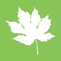 Maple white leaf vector illustration on green