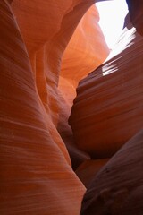 Red Canyon 