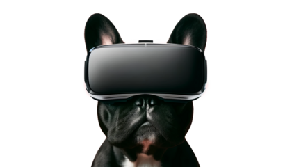 French  Bulldog experiences virtual reality, a concept for tech-savvy pet lovers and innovative marketing campaigns, resonating with fun, futurism, and animal care awareness