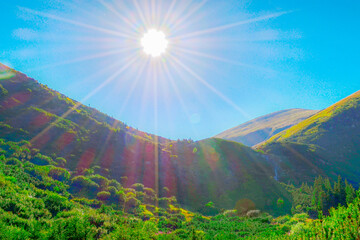 Carpathian mountain. Ukraine. beautiful summer landscape, with blue sky and sunshine	
Countryside...