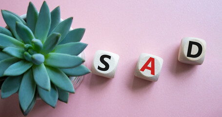Sad symbol. Wooden cubes with words Sad. Beautiful pink background with succulent plant. Business...