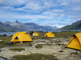 Camp Fjords Greenland