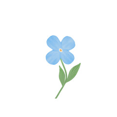 illustration flower blue pastel