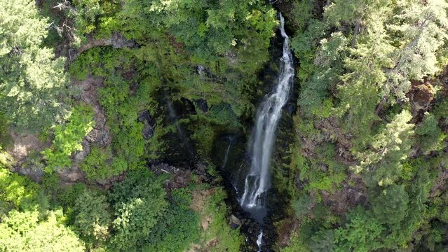 A waterfall is shown in the image, with a lush green forest in the background. The water is flowing down the side of a cliff, creating a serene and peaceful atmosphere