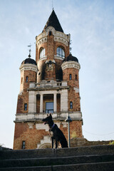 Beautiful black dog sits and poses near Gardos Tower -Millenium Tower- in Belgrade, Serbia. Old...