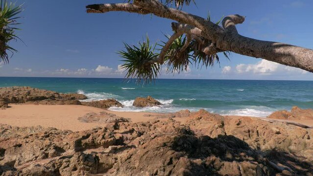 4K, Chinamans creek beach, Agnes Water, Queensland Australia. Pandanus palm foreground, blue ocean waves sky background.  Soothing nature travel tropical background wallpaper backdrop.
