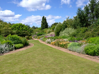 Summer garden with flower borders and a lawn