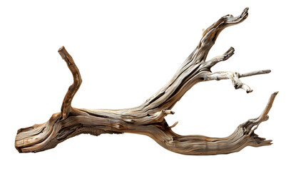 A rustic wooden branch with visible wood grain and natural textures, isolated on a white background