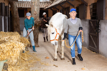 Elderly woman leads a white horse by the bridle along the stable