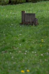 Abandoned old tombstone and green lawn in the cemetery.