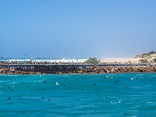 Birds flying in the river mouth in Lakes Entrance, Victoria, Australia