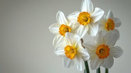Fototapeta premium A white table hosts a vase filled with white and yellow blooms against a crisp white wall backdrop