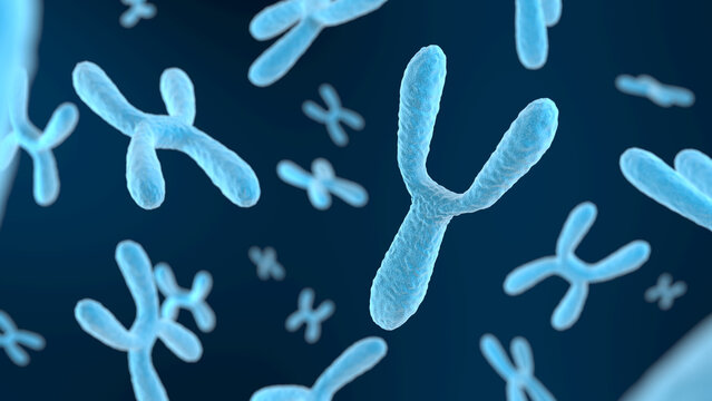 Y chromosome on dark background. Blue color. 3d illustration.