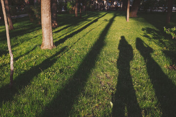 Green grass field and shadows. Trees and people silhouette on park lawn. Shadows of people in green...