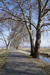 Radweg-Allee
