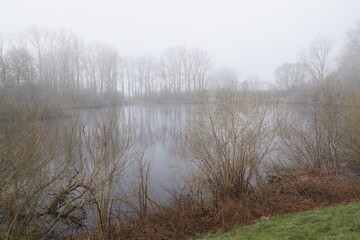 Nebliger Morgen am See