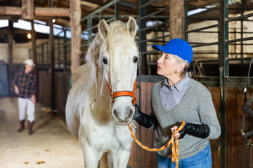 Positive elderly woman stable owner holding white purebred horse by bridle, stroking animal neck....