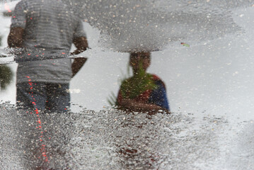 Catholics are seen, in reflection on the wet ground, holding plants during the Palm Sunday celebration in the city of Salvador, Bahia.