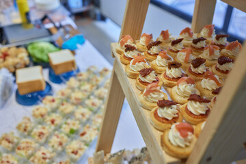 light snacks for the holiday, catering. Various light snacks. Catering plate. Assortment of sandwiches on the buffet table. meat, fish, vegetable canapes.