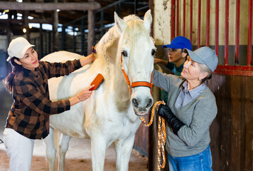 Asian and European women brushing white horse in barn.
