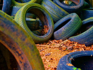 rubber tyres in a pile in the woods