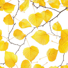 Seamless pattern of golden aspen tree leaves on a pristine. Yellow aspen leaves.