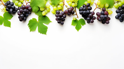 Green and Black juicy grapes on white background. autumn Frame made of grapes . Copy space