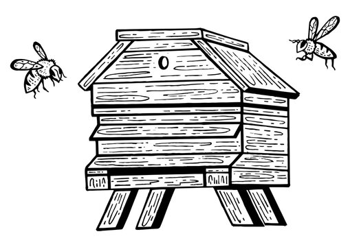 recommend clip art: Bee hive and bees sketch engraving PNG illustration. Scratch board style imitation. Hand drawn image.