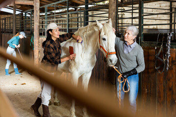 Positive asian horsewoman grooming white racehorse in stall, brushing after riding while aged woman...