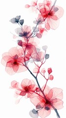 Fototapeta premium Tropical flowers blossom plant inflorescence.