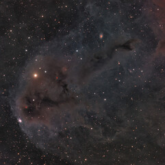 Anglerfish Nebula