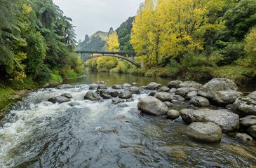 Small rapids in the the Mangawhero River in the countryside. The trees are autumn yellow. A bridge is crossing the river.  Kakatahi, Whanganui, Manawatū-Whanganui, New Zealand.